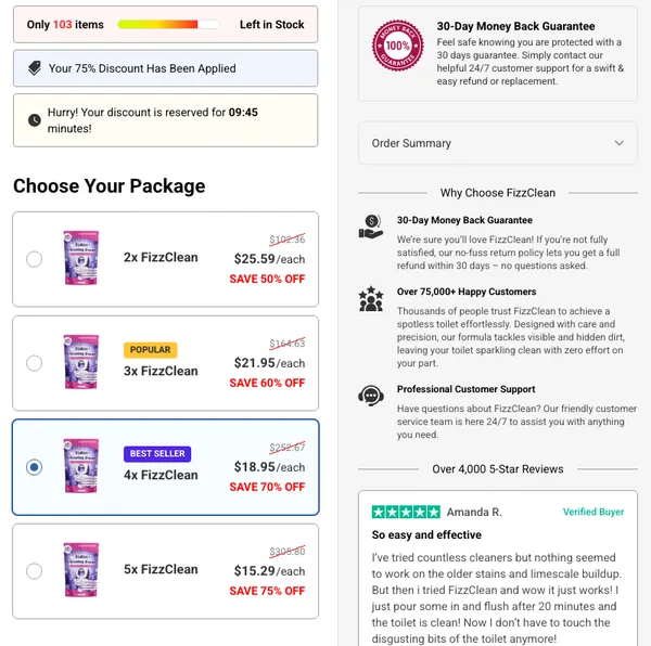 FizzClean secure checkout page with package selection