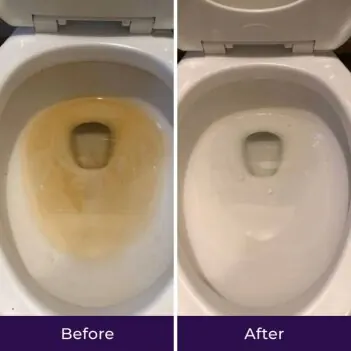 Emily's before and after toilet bowl results with FizzClean