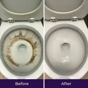 Lisa's before and after toilet results with FizzClean